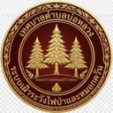 ระบบเฝ้าระวังไฟป่า บ่อหลวง