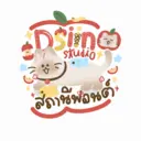 Dsiin Studio