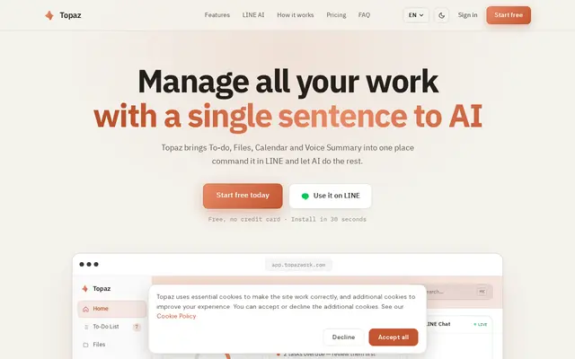 หน้าตาของ Topazwork