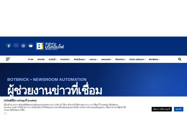 หน้าตาของ BotBrick