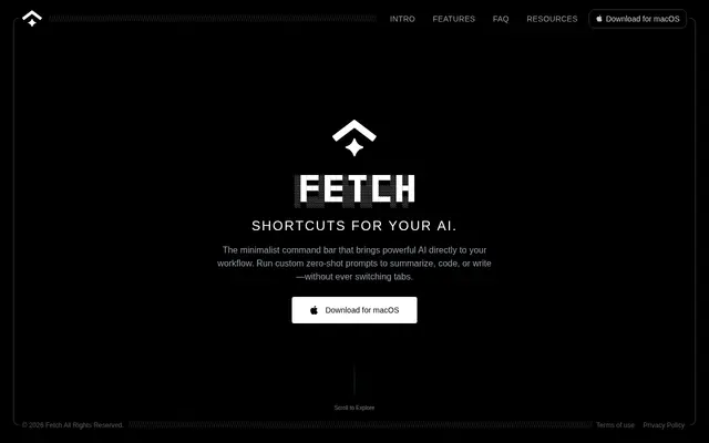 หน้าตาของ Fetch
