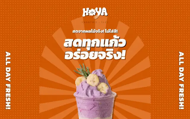 หน้าตาของ Hoya Smoothie