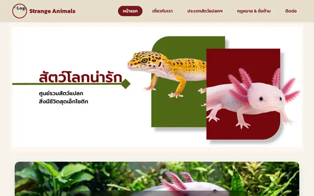หน้าตาของ Strange Animals (สัตว์โลกน่ารัก)