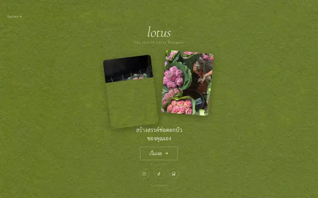 หน้าตาของ Lotus