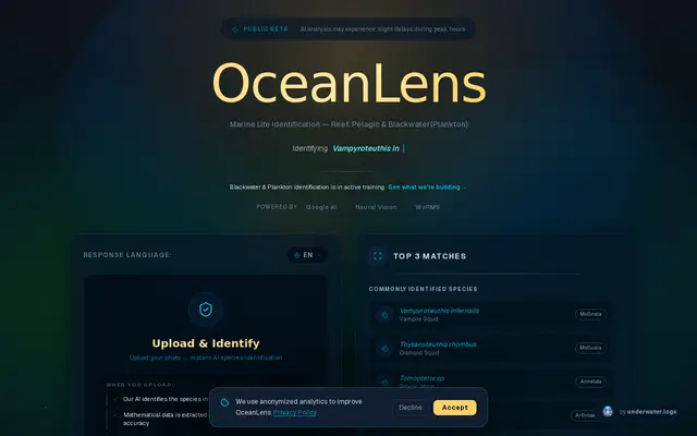 หน้าตาของ OceanLens