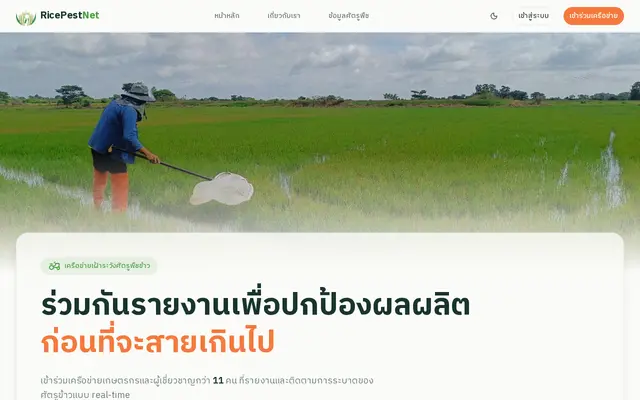 หน้าตาของ RicePestNet