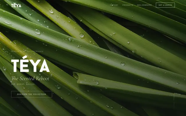 หน้าตาของ Teya Tea